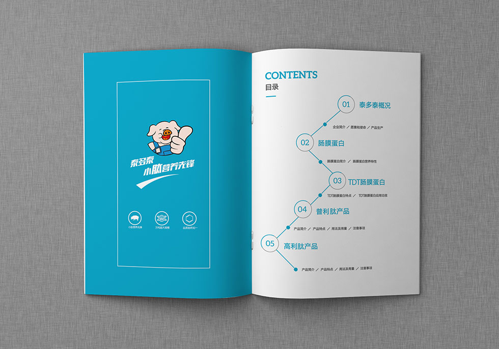 武漢畫(huà)冊設計公司