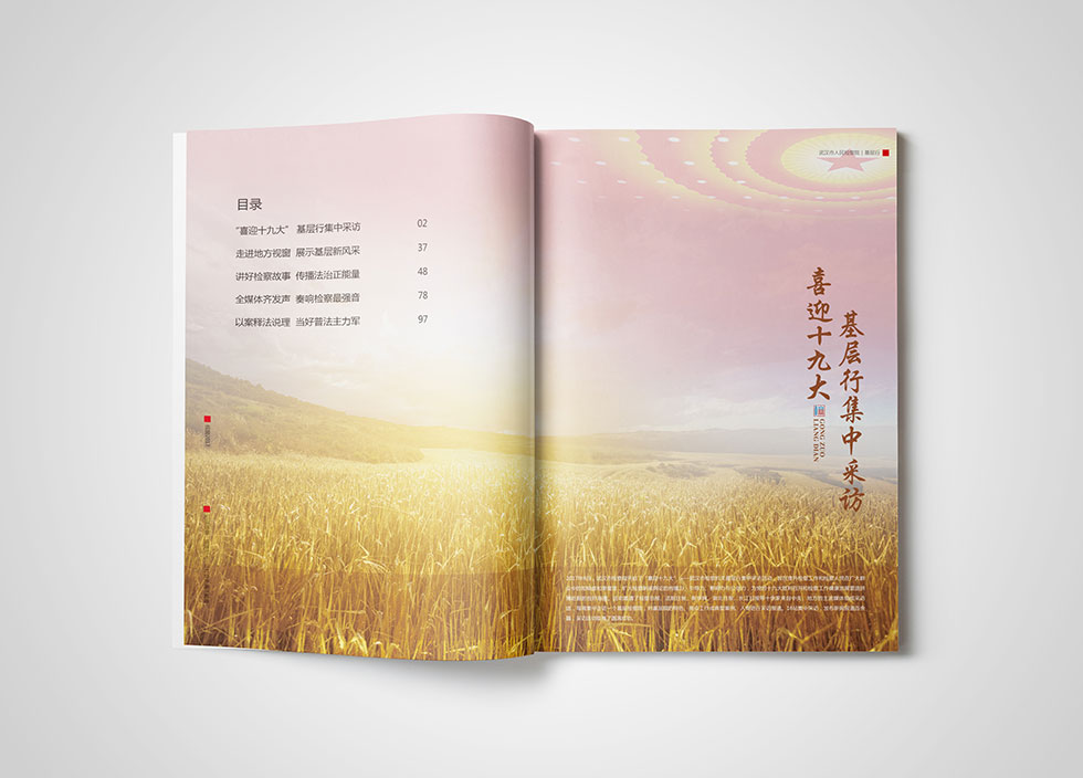 武漢檢察院畫(huà)冊設計